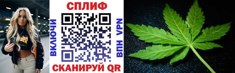 Каннабис White Widow  Купить закладки  Устюжна 